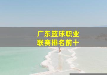 广东篮球职业联赛排名前十