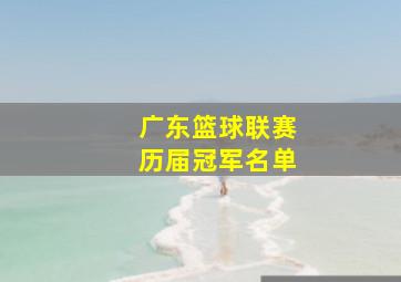 广东篮球联赛历届冠军名单