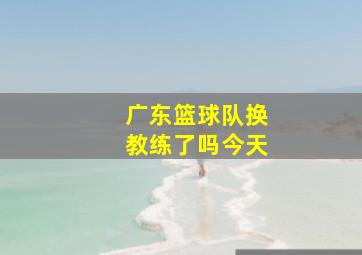 广东篮球队换教练了吗今天