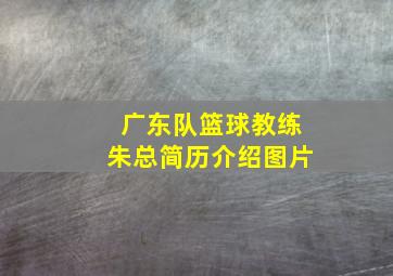 广东队篮球教练朱总简历介绍图片