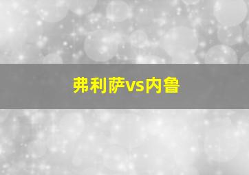 弗利萨vs内鲁