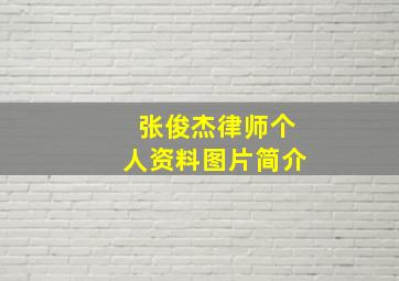 张俊杰律师个人资料图片简介