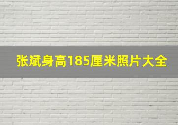 张斌身高185厘米照片大全