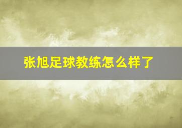 张旭足球教练怎么样了