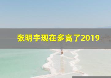 张明宇现在多高了2019