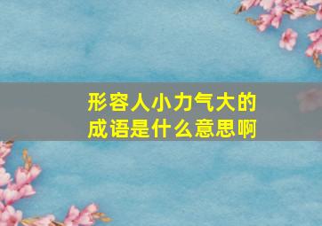 形容人小力气大的成语是什么意思啊