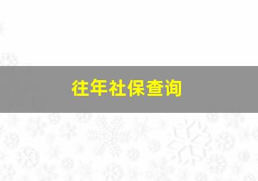 往年社保查询