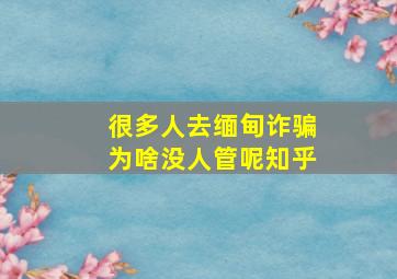 很多人去缅甸诈骗为啥没人管呢知乎