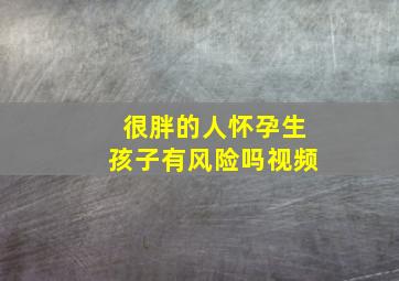 很胖的人怀孕生孩子有风险吗视频