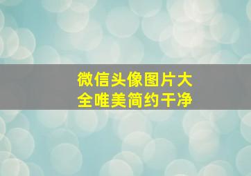 微信头像图片大全唯美简约干净