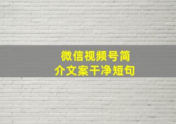 微信视频号简介文案干净短句