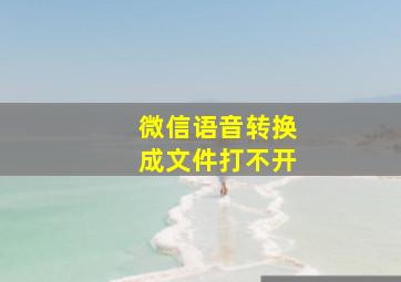 微信语音转换成文件打不开