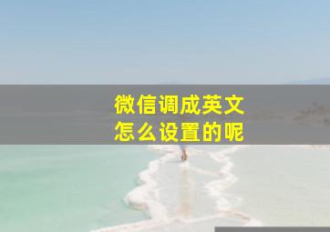 微信调成英文怎么设置的呢