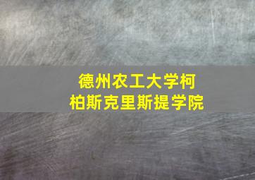 德州农工大学柯柏斯克里斯提学院