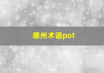 德州术语pot