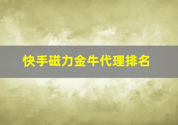 快手磁力金牛代理排名