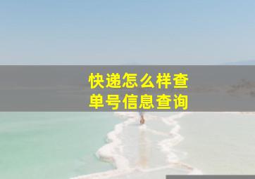 快递怎么样查单号信息查询