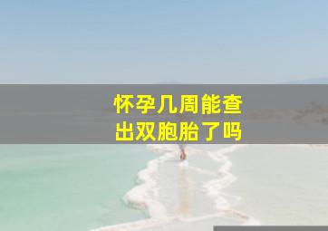 怀孕几周能查出双胞胎了吗