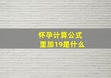 怀孕计算公式里加19是什么