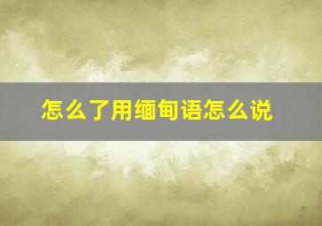 怎么了用缅甸语怎么说