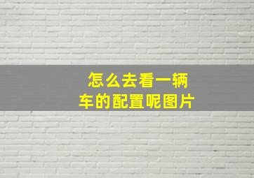 怎么去看一辆车的配置呢图片