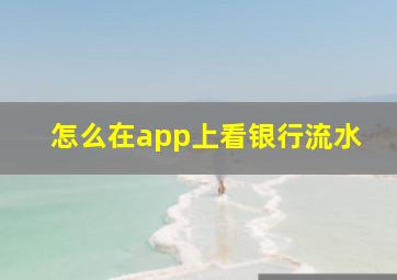 怎么在app上看银行流水