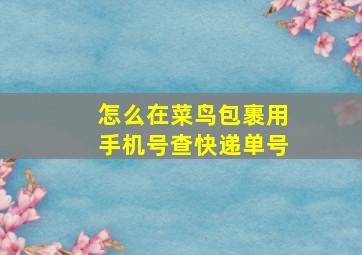 怎么在菜鸟包裹用手机号查快递单号