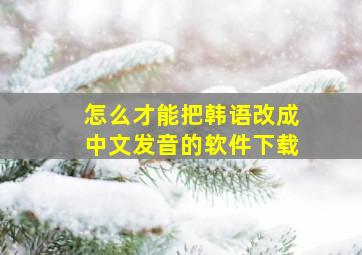 怎么才能把韩语改成中文发音的软件下载