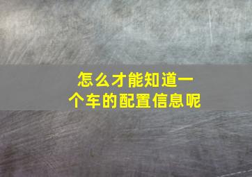 怎么才能知道一个车的配置信息呢