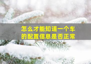 怎么才能知道一个车的配置信息是否正常