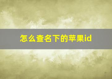 怎么查名下的苹果id