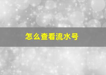 怎么查看流水号