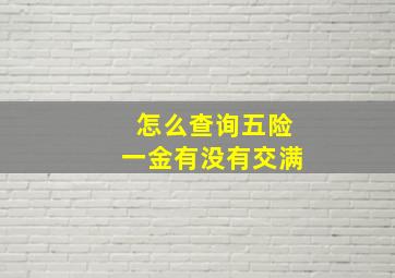 怎么查询五险一金有没有交满