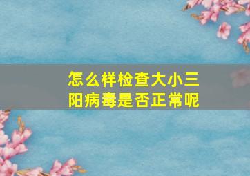 怎么样检查大小三阳病毒是否正常呢