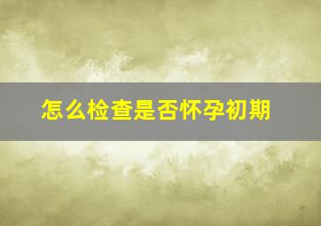 怎么检查是否怀孕初期