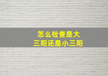 怎么检查是大三阳还是小三阳