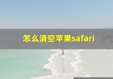 怎么清空苹果safari