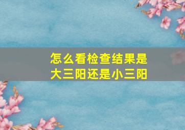 怎么看检查结果是大三阳还是小三阳