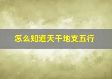 怎么知道天干地支五行