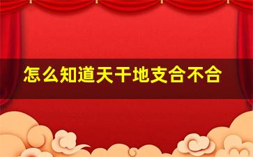 怎么知道天干地支合不合