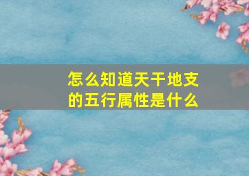 怎么知道天干地支的五行属性是什么