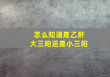 怎么知道是乙肝大三阳还是小三阳