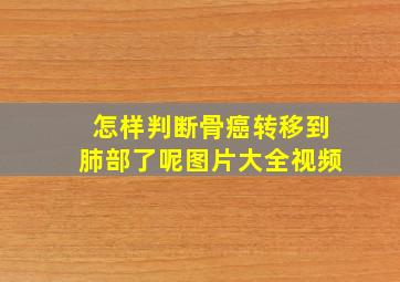 怎样判断骨癌转移到肺部了呢图片大全视频