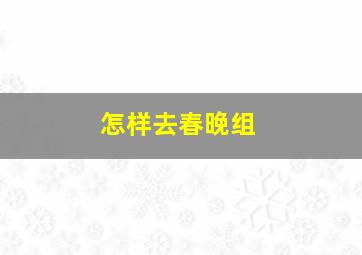 怎样去春晚组