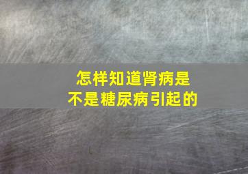 怎样知道肾病是不是糖尿病引起的