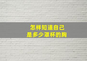 怎样知道自己是多少罩杯的胸