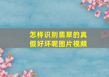 怎样识别翡翠的真假好坏呢图片视频