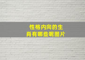 性格内向的生肖有哪些呢图片