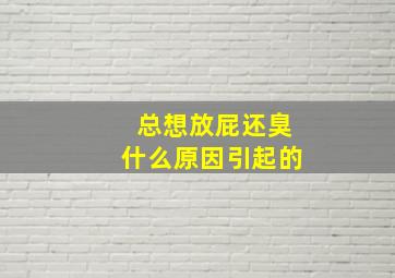 总想放屁还臭什么原因引起的