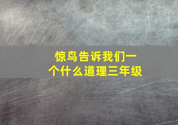 惊鸟告诉我们一个什么道理三年级